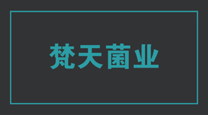 食品行业射阳工作服设计款式